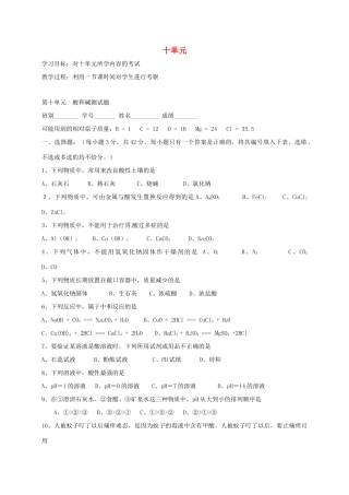 九年级化学下册 第10单元 酸和碱测试卷导学案(新版)新人教版 学案