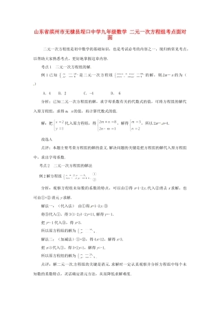 九年级数学 二元一次方程组考点面对面试卷