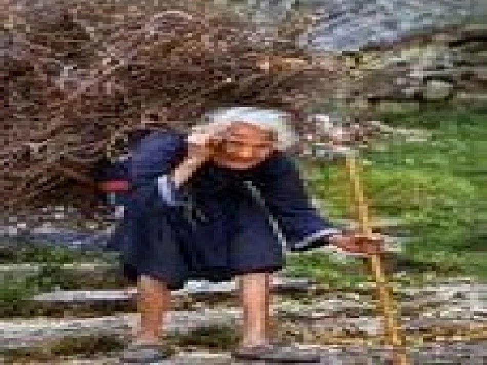 第九课共享阳光-(2)_第3页