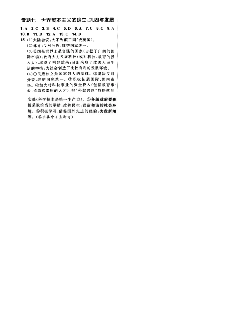 山东省泰安市中考历史专题复习 主题七 世界资本主义的确立、巩固与发展提分训练试卷_第3页