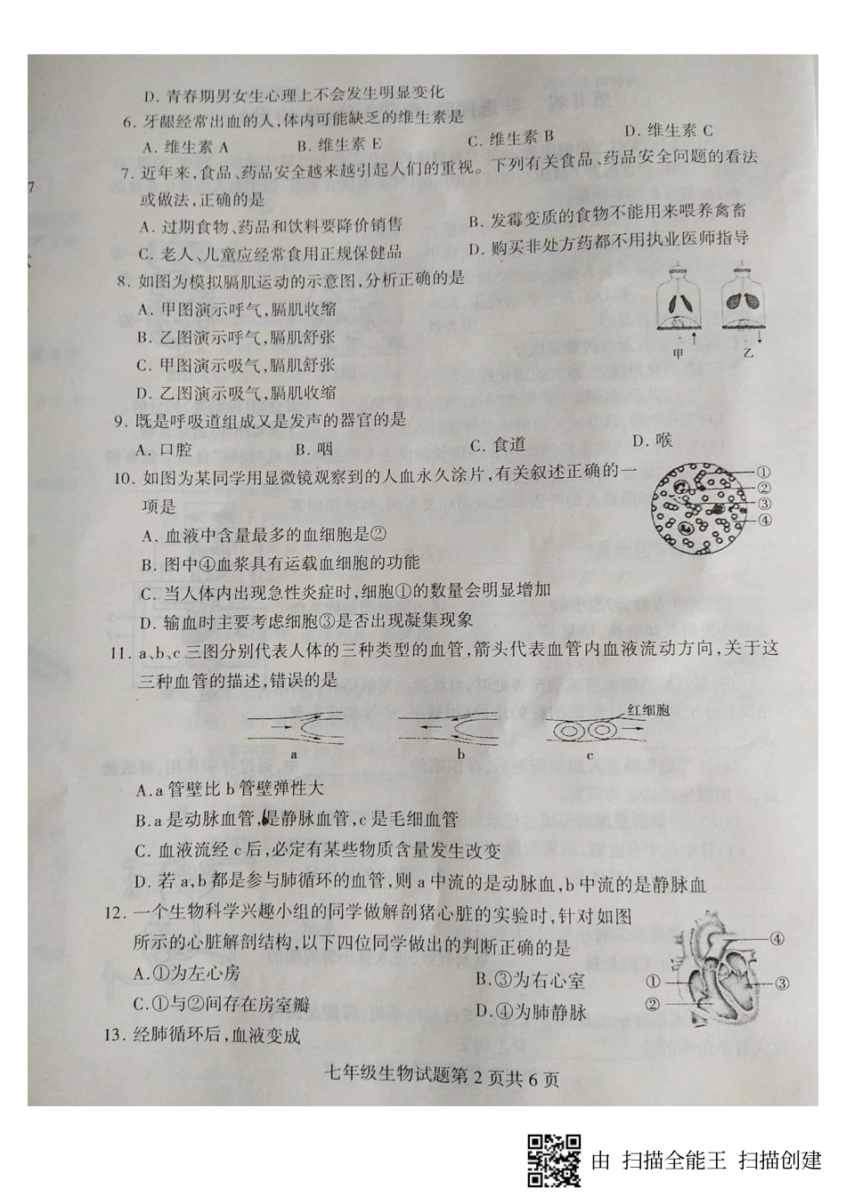 山东省临沂市费县七年级生物下学期期末试卷(pdf，无答案) 新人教版试卷_第2页