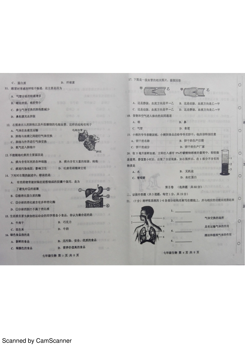 天津市红桥区七年级生物下学期期中试卷(pdf) 新人教版 天津市红桥区七年级生物下学期期中试卷(pdf) 新人教版_第2页
