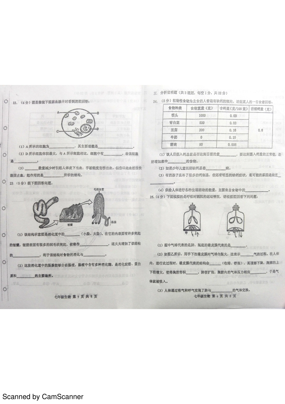 天津市红桥区七年级生物下学期期中试卷(pdf) 新人教版 天津市红桥区七年级生物下学期期中试卷(pdf) 新人教版_第3页