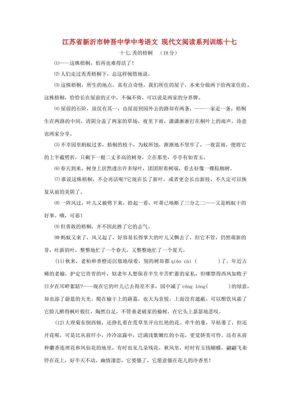 中考语文 现代文阅读系列训练十七试卷_第1页