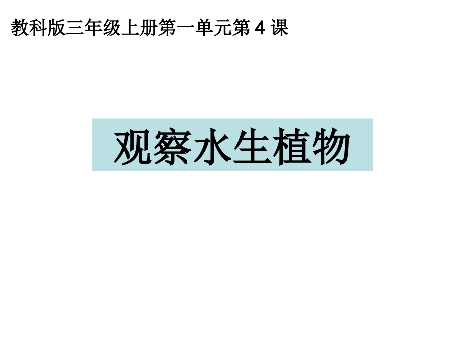 三上一4观察水生植物夏维_第1页