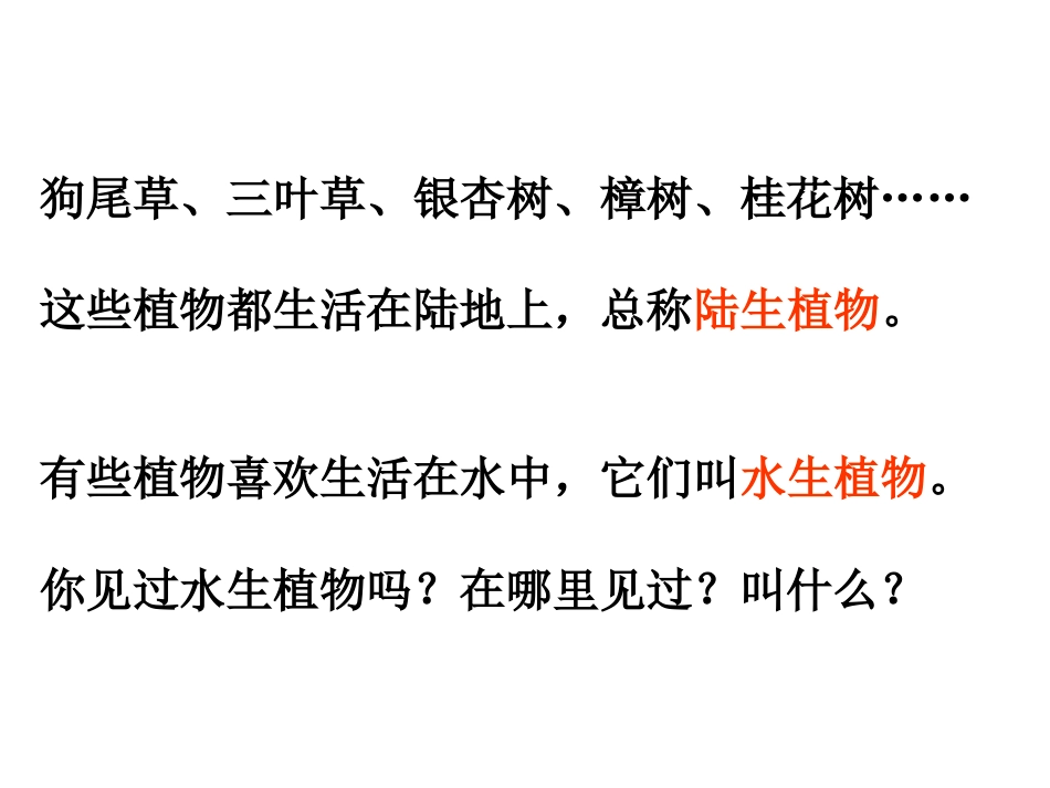 三上一4观察水生植物夏维_第2页