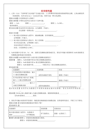 九年级化学专题复习8 科学探究题试卷