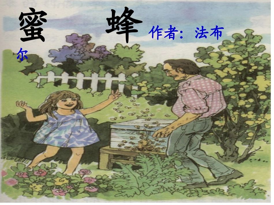 14《蜜蜂》_第1页