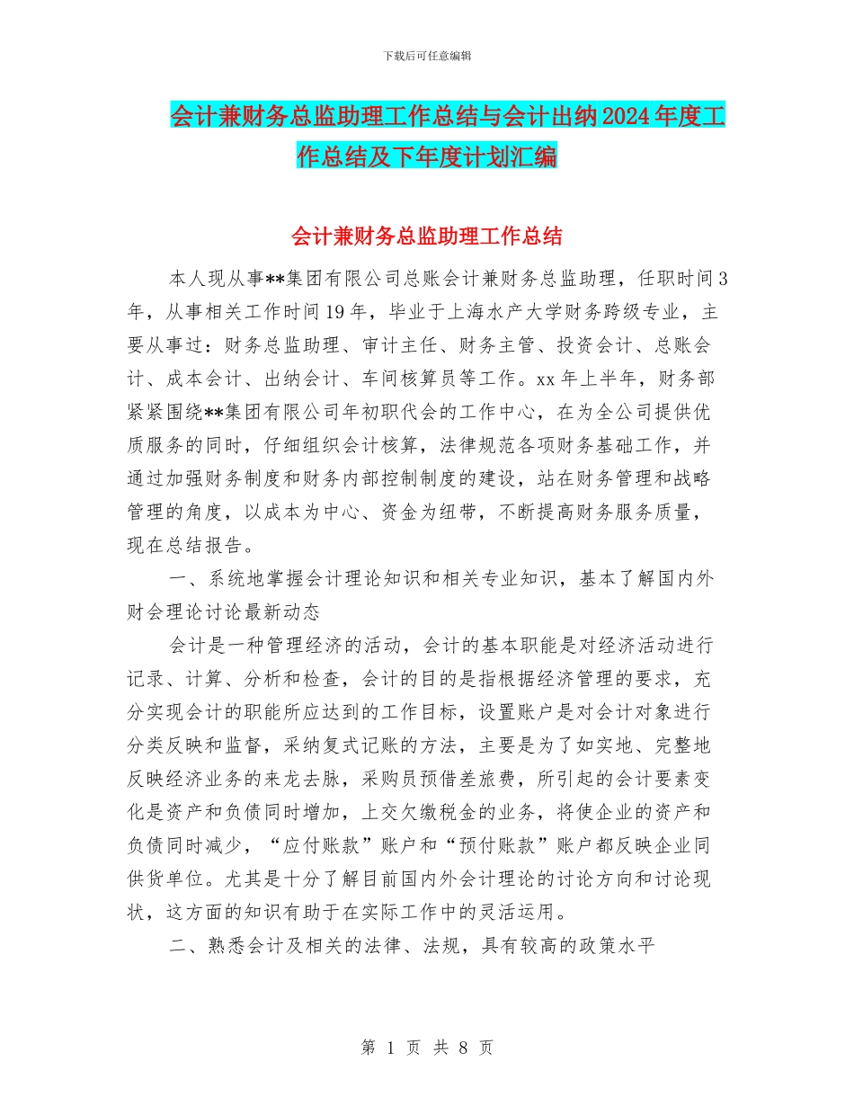 会计兼财务总监助理工作总结与会计出纳2024年度工作总结及下年度计划汇编_第1页