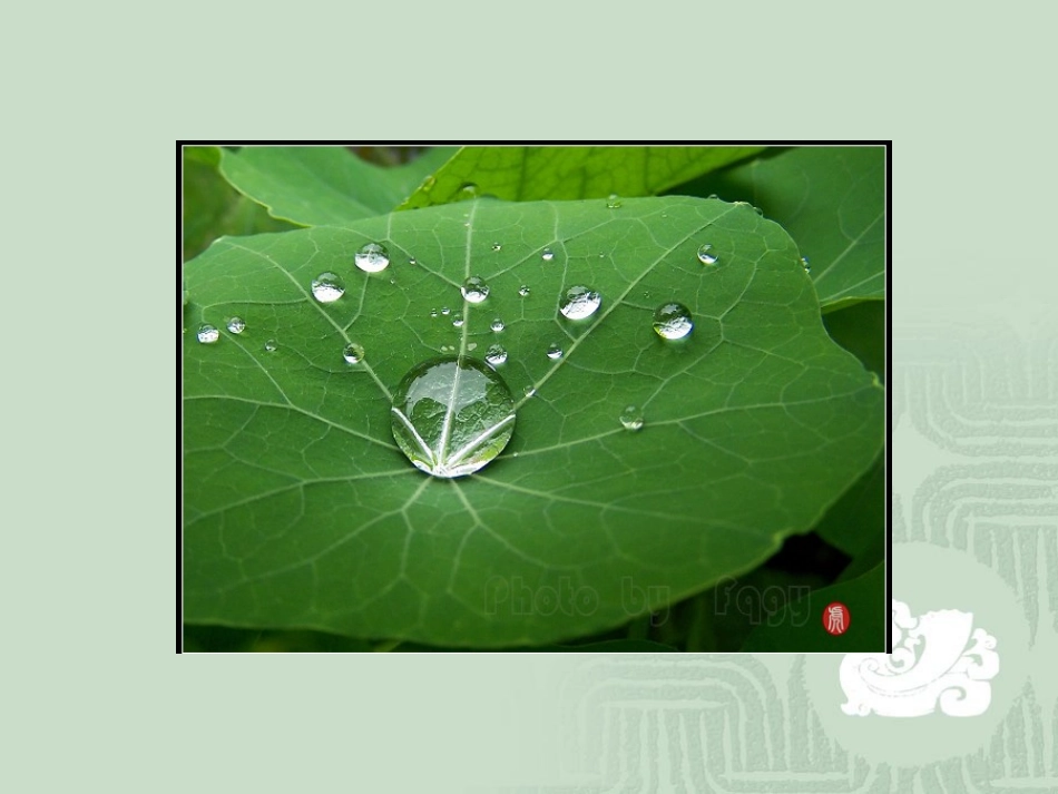 2014年省初中评优课点评_第3页