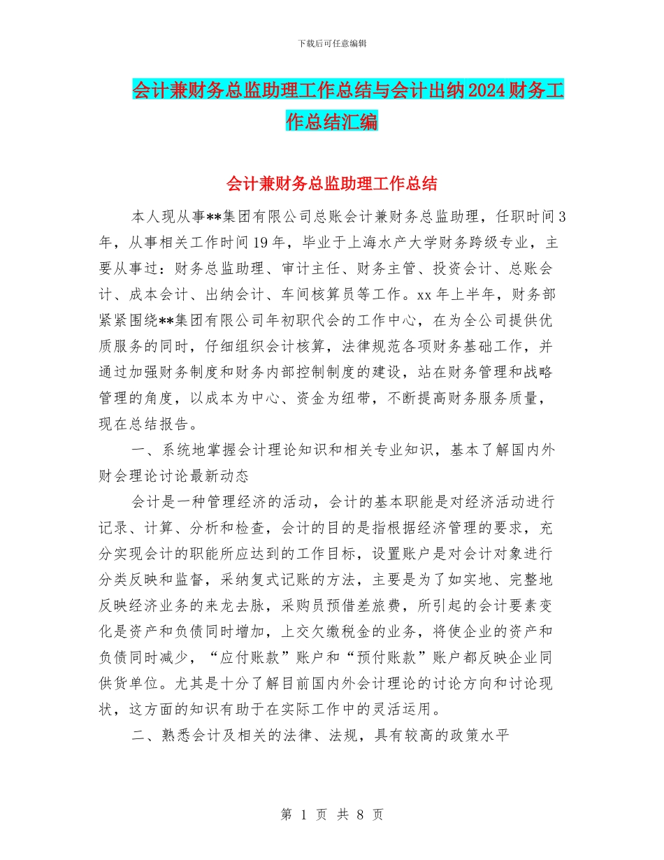 会计兼财务总监助理工作总结与会计出纳2024财务工作总结汇编_第1页