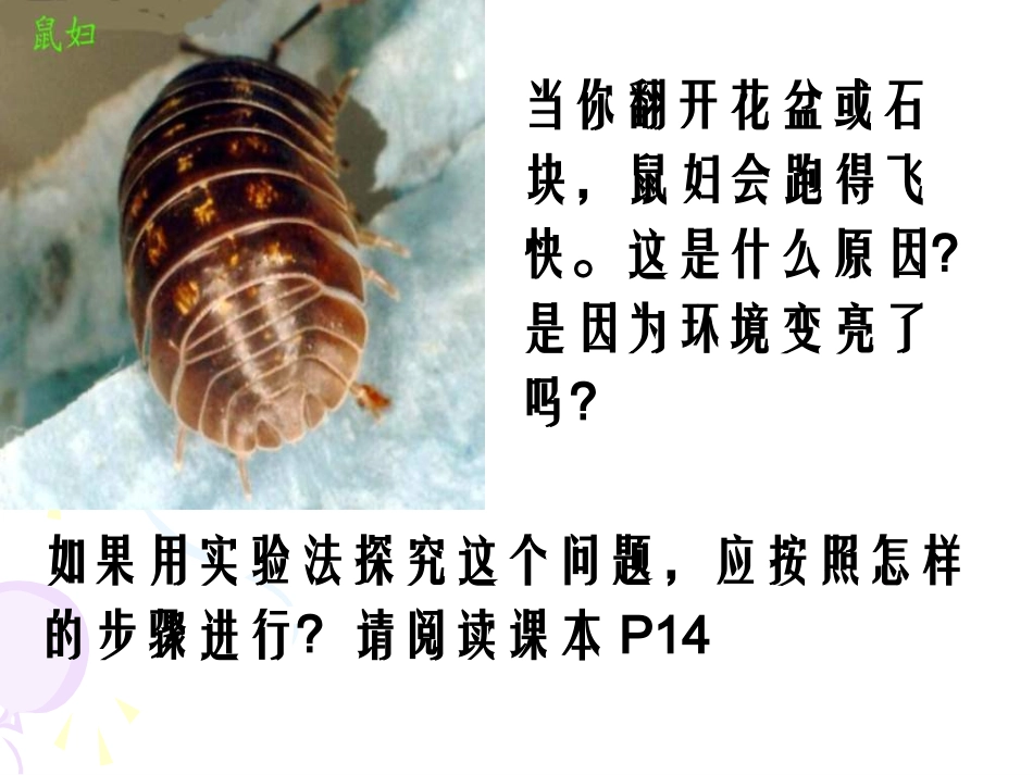《第二节-生物与环境的关系》课件7_第3页