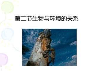 《第二节-生物与环境的关系》课件7