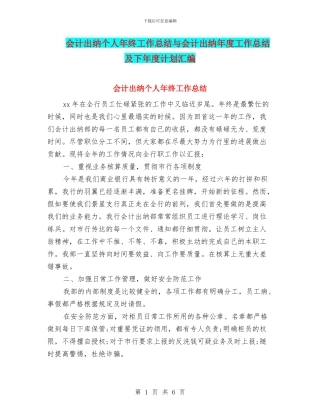 会计出纳个人年终工作总结与会计出纳年度工作总结及下年度计划汇编