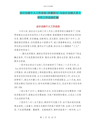 会计出纳个人工作总结与会计出纳人员上半年工作总结汇编