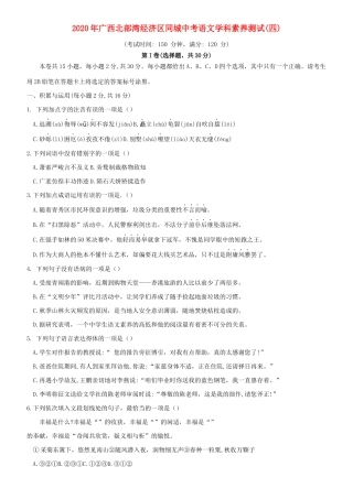 中考语文学科素养测试(四)试卷