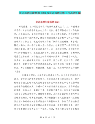 会计出纳年度总结2024与会计出纳年终工作总结汇编