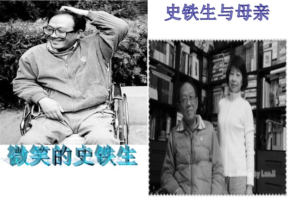 《合欢树》公开课课件_第1页