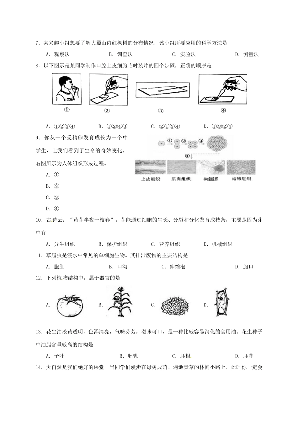 安徽省合肥市七年级生物上学期期中试卷 新人教版试卷_第2页