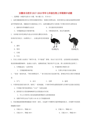 安徽省合肥市七年级生物上学期期中试卷 新人教版试卷