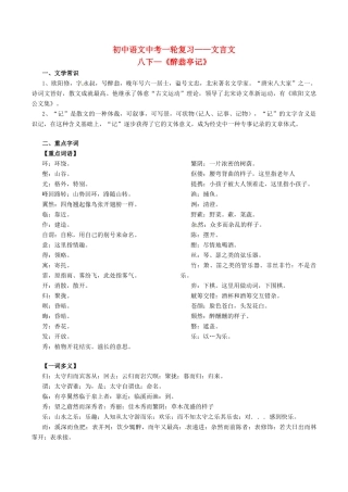 中考语文一轮复习讲练测 专题24 文言文 八下(醉翁亭记)(讲练)试卷