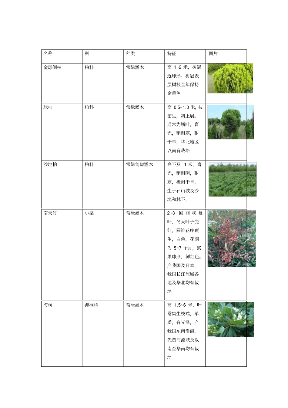 乔木、灌木、地被植物说明图表-3_第1页