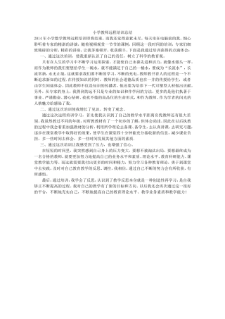 小学教师远程培训总结