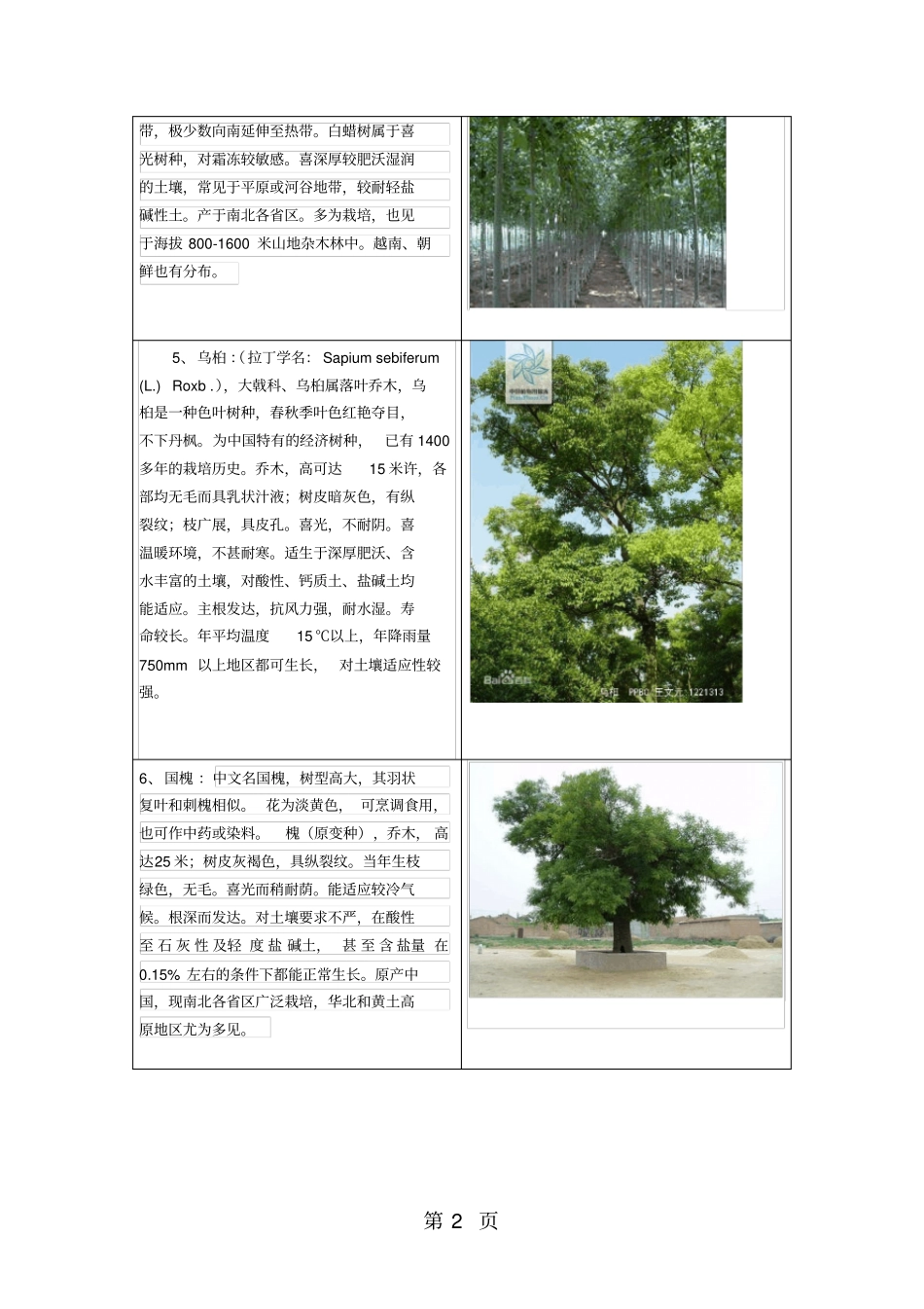 乔木及水生植物共24资料_第2页
