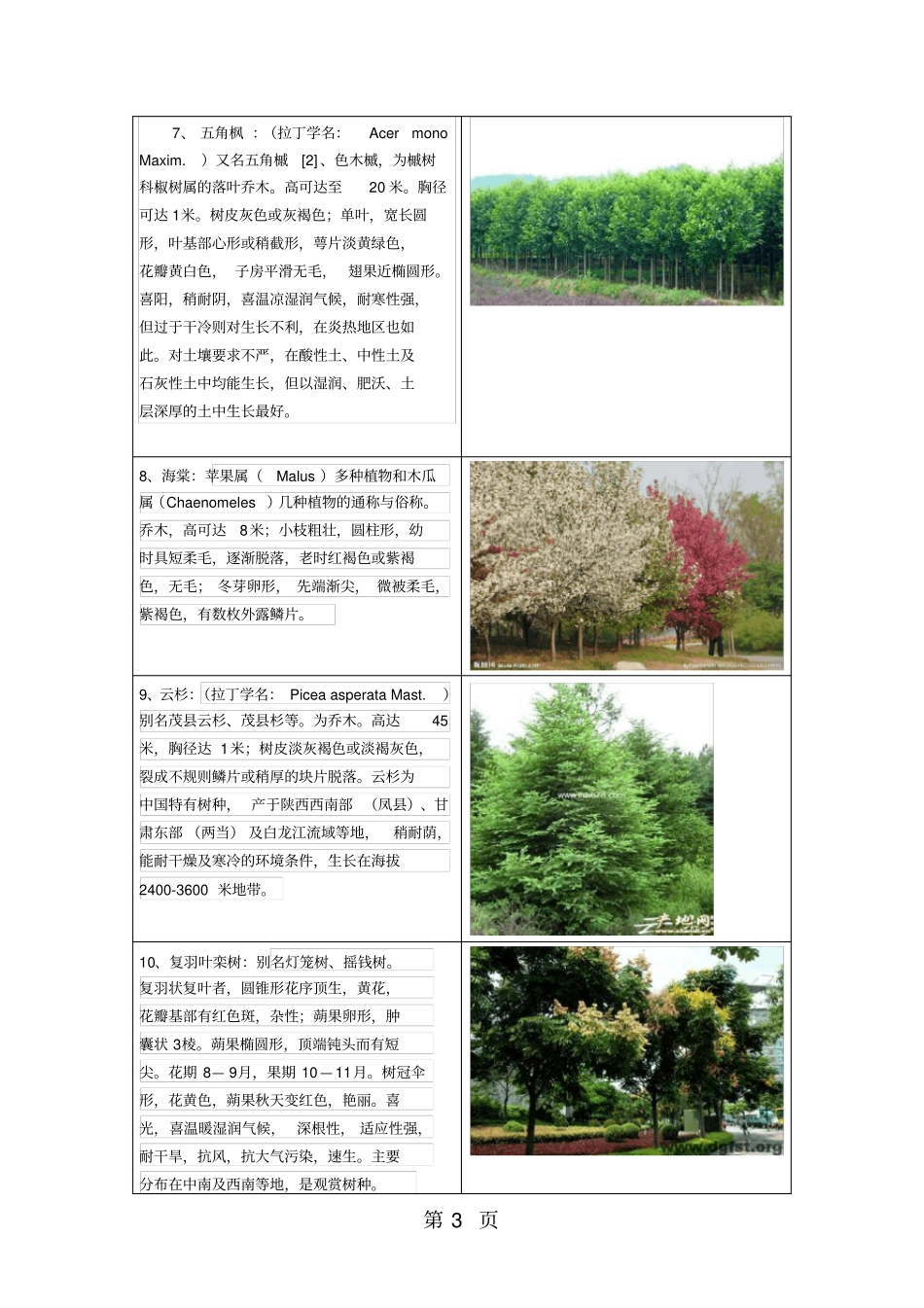 乔木及水生植物共24资料_第3页