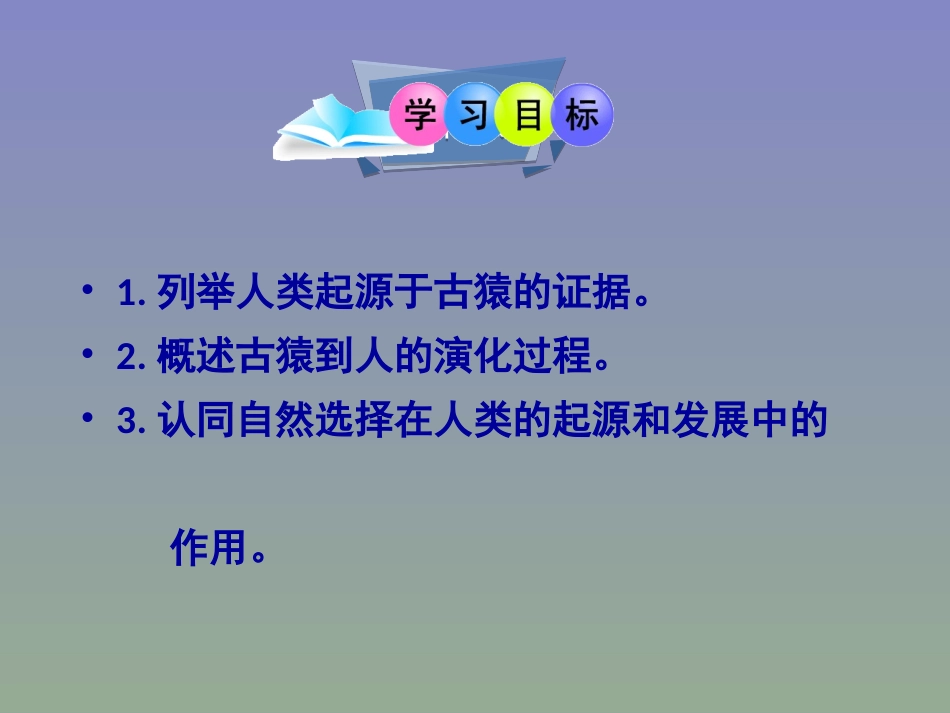 第三节人类的起源_第3页