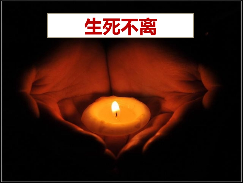 悲痛领唱、合唱《生死不离》_第1页