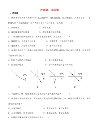 中考物理专题复习 声现象、光现象试卷