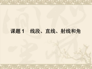 线段、射线和直线