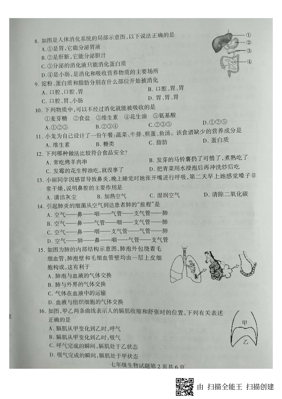 山东省临沂市费县七年级生物下学期期中试卷(pdf) 新人教版 山东省临沂市费县七年级生物下学期期中试卷(pdf) 新人教版_第2页