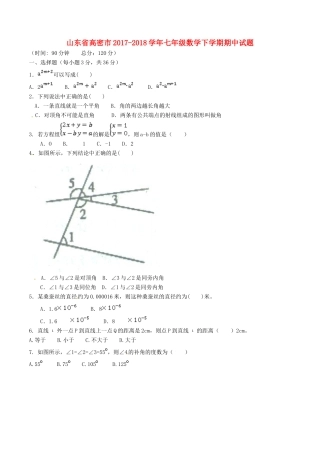 山东省高密市七年级数学下学期期中试卷 新人教版试卷