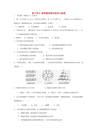 九年级化学上册 第六单元 碳和碳的氧化物单元综合检测 新人教版试卷