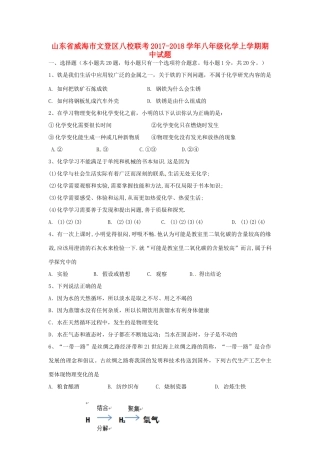 山东省威海市文登区八校联考 八年级化学上学期期中试卷 鲁教版五四制试卷