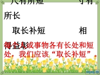 小柳树和枣树