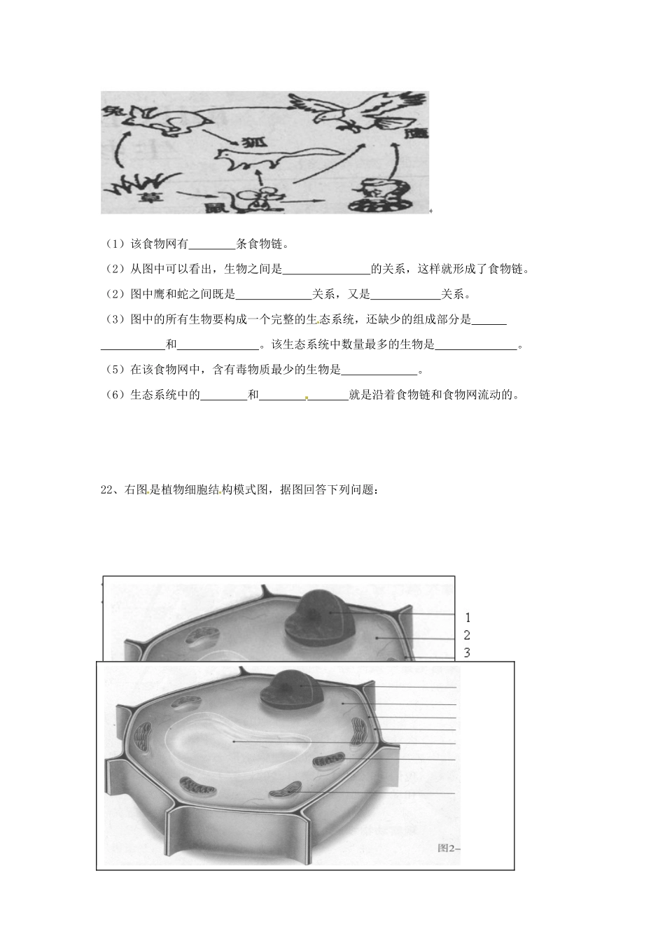内蒙古呼和浩特市七年级生物上学期期中考试试题(无答案) 试题_第3页
