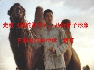 拉不完的苦难拉不动的黑暗——祥子的命运