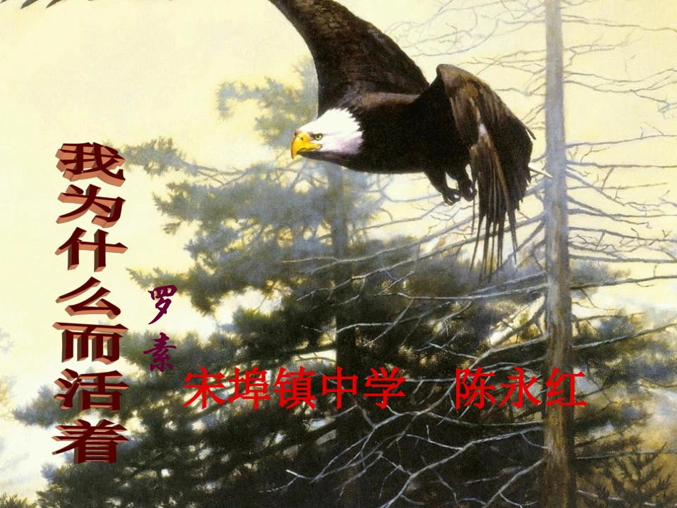 我为什么而活着-(2)_第2页