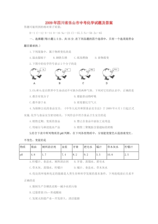 四川省乐山市中考化学下册试卷 人教新课标版试卷