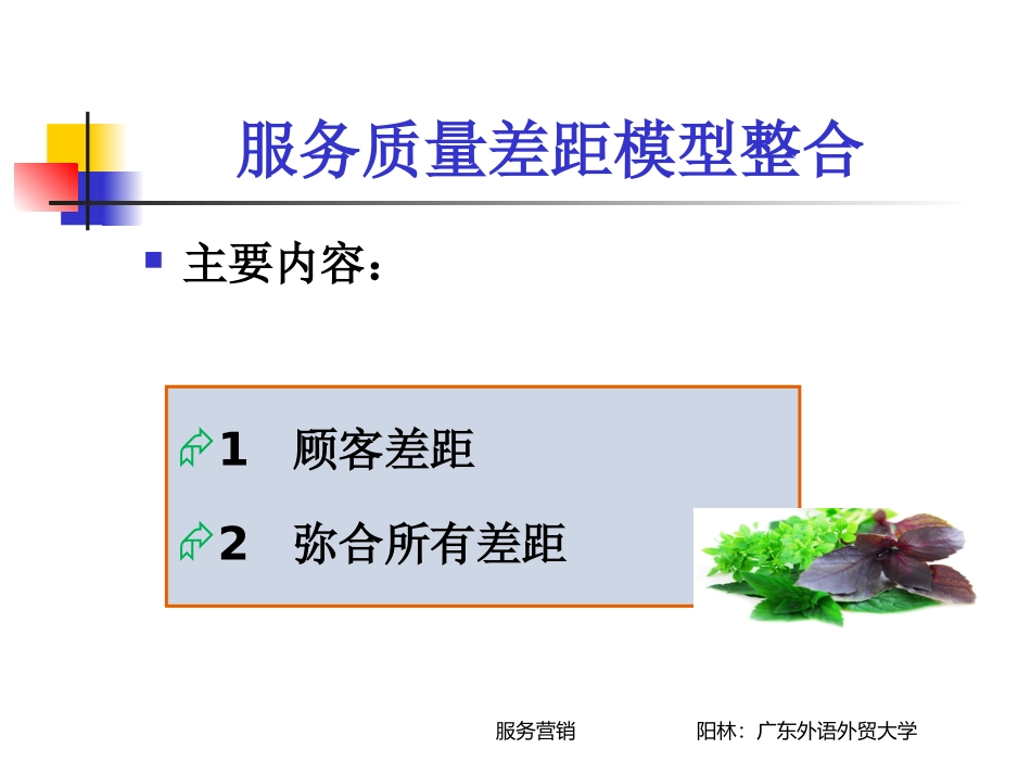服务质量差距模型整合_第1页