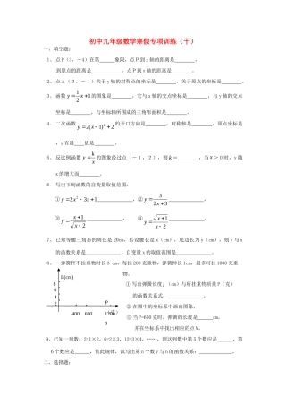 九年级数学寒假专项训练(十) 新人教版试卷