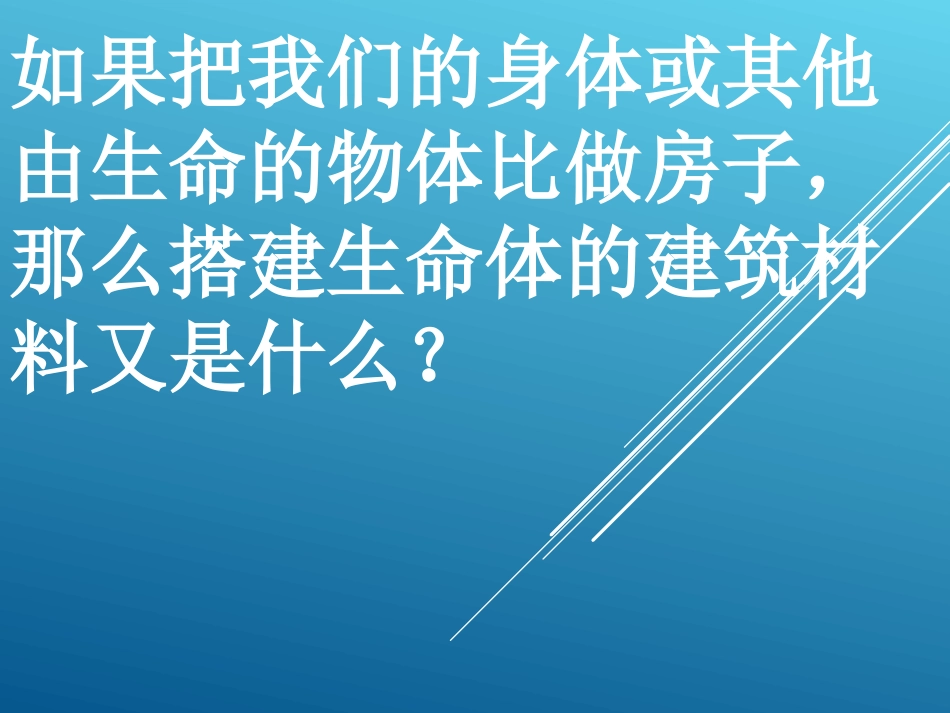 4搭建生命体的“积木”_第3页