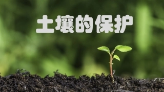 4土壤的保护-(2)