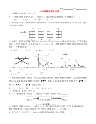九年级数学强化训练(13) 苏科版试卷