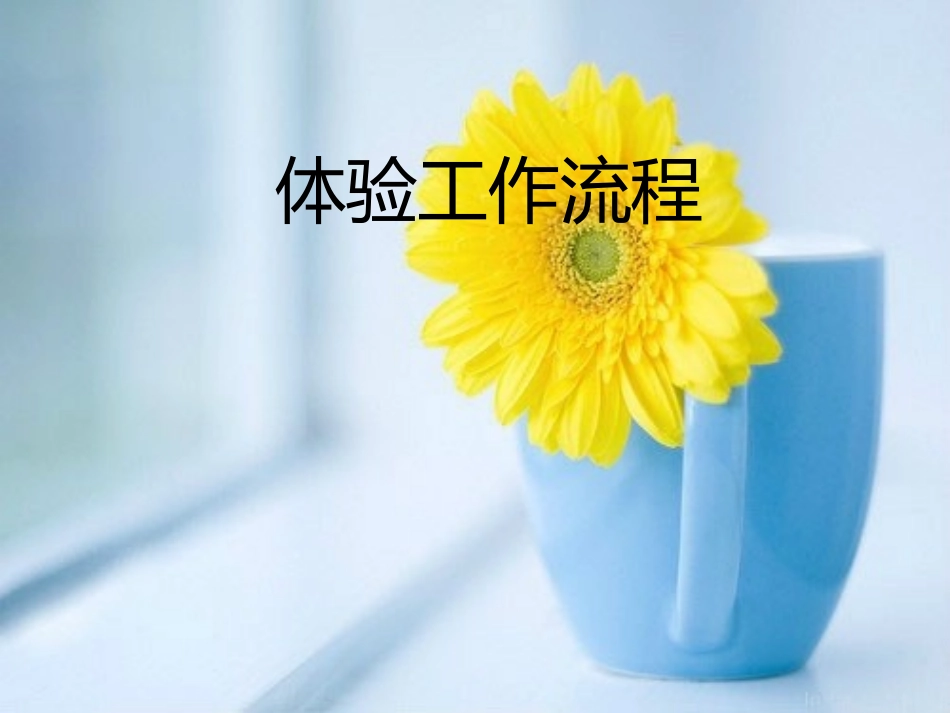 《体验工作流程》课件2_第1页