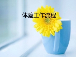 《体验工作流程》课件2