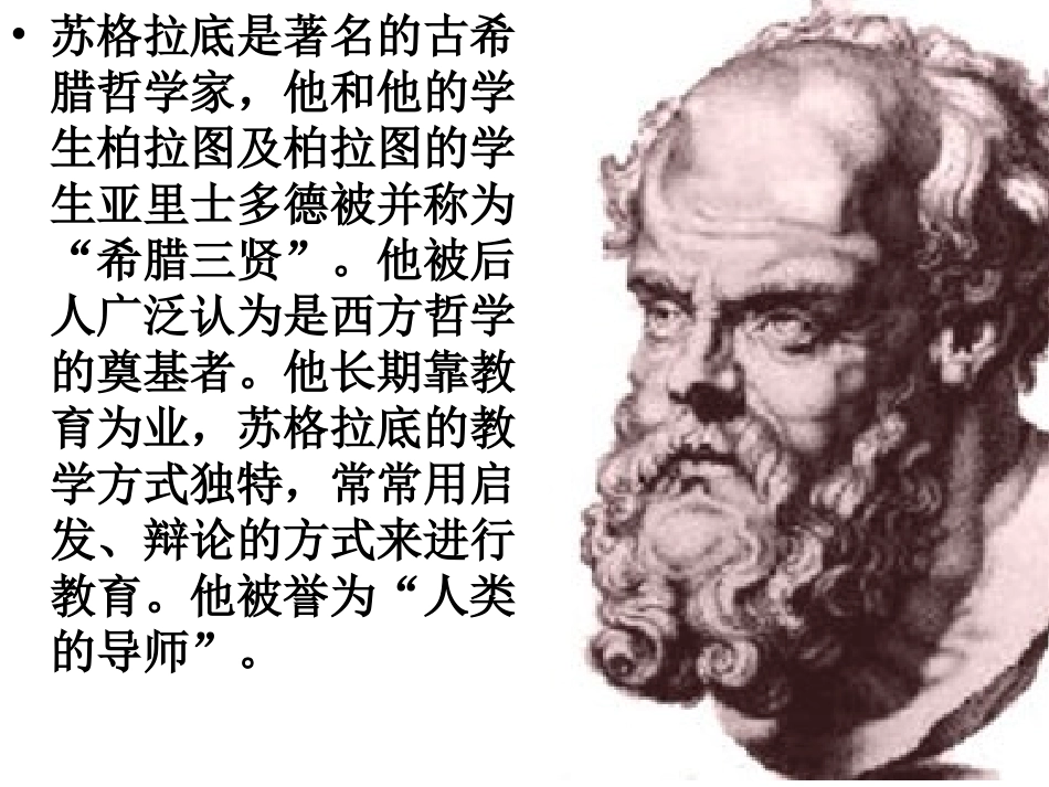 《最大的麦穗》PPT课件_第2页